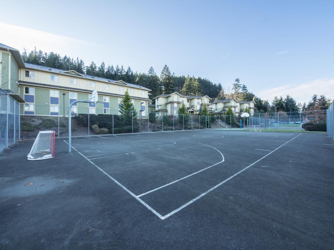 On residence basketball court